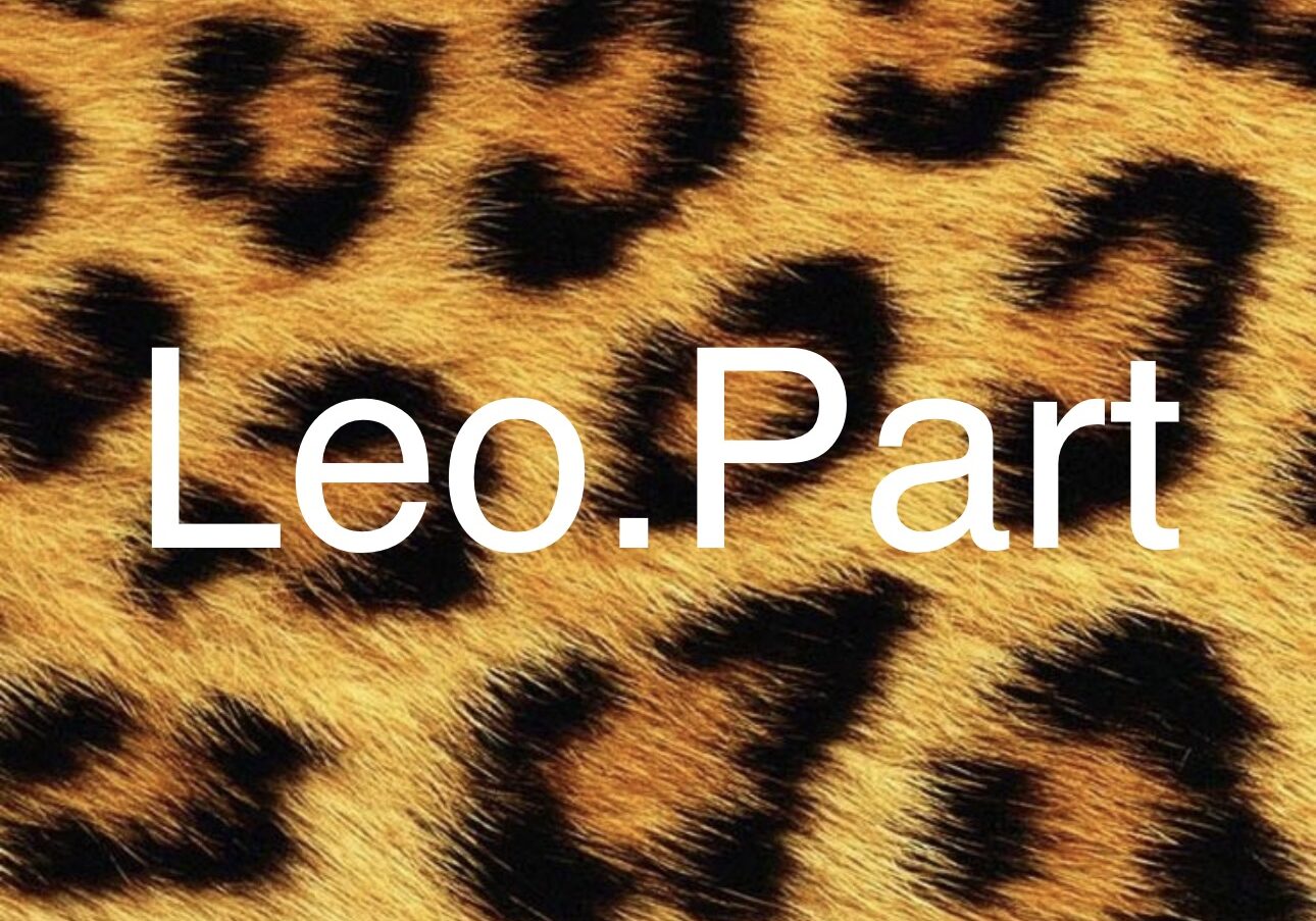 LEO.Part представив нову яскраву колекцію на Kyiv Fashion Trend 2025
